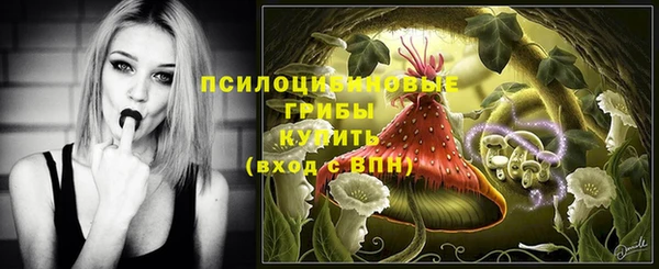 круглые Алексин