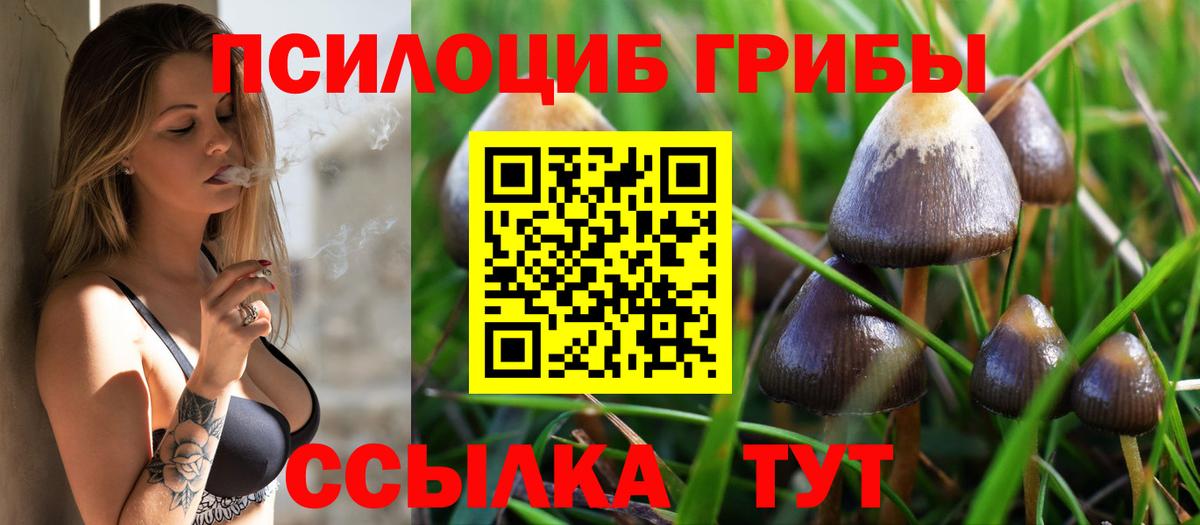 Псилоцибиновые грибы GOLDEN TEACHER Обнинск